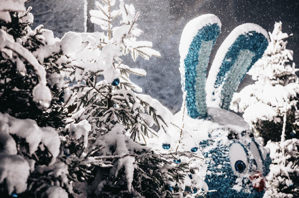 Фестиваль «Зима в Кронштадте» 2026