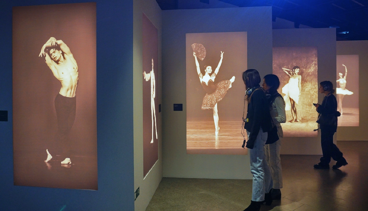 Выставочный проект «Первая позиция. Русский балет»