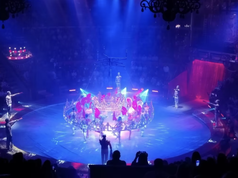 Шоу «Королевский цирк»