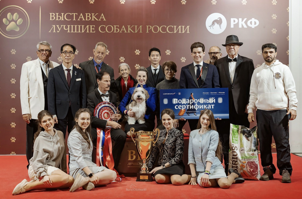 Выставка «Лучшие собаки России. Шоу чемпионов»