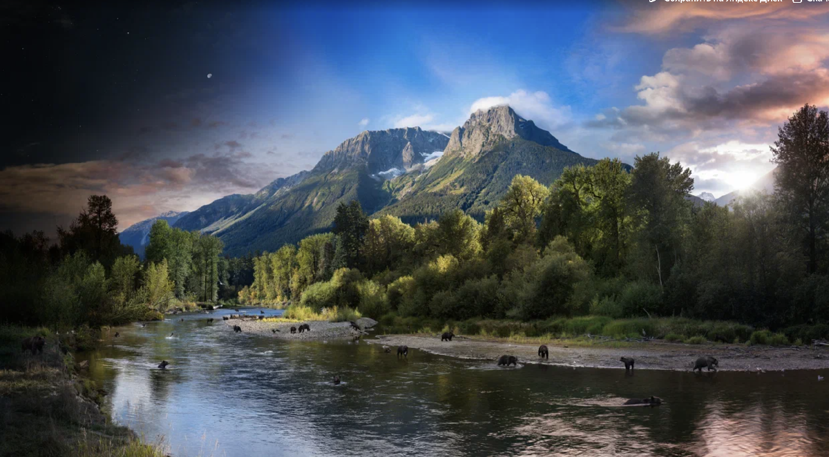 «Стивен Уилкс. Днем и ночью»