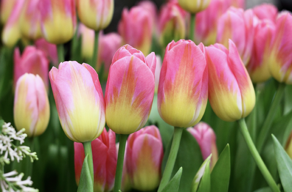 Фестиваль Фестиваль «Оттепель чувств» 2026