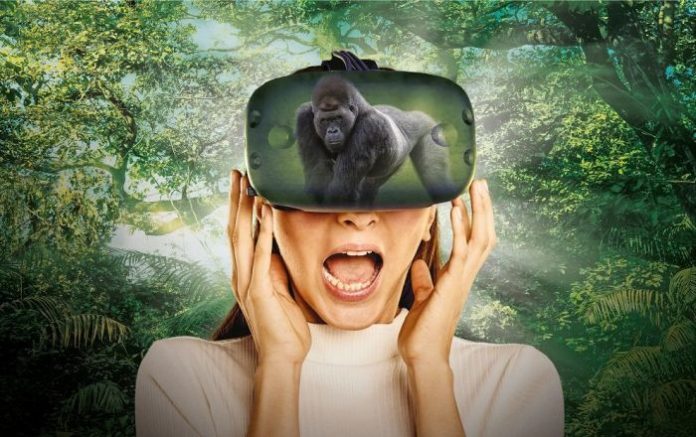 Интерактивная Выставка Виртуальной Реальности» лето 2021
