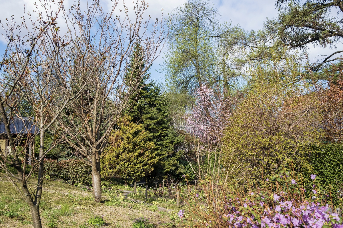 Ботанический фестиваль «Торжествуй, зелёный май!» 2026