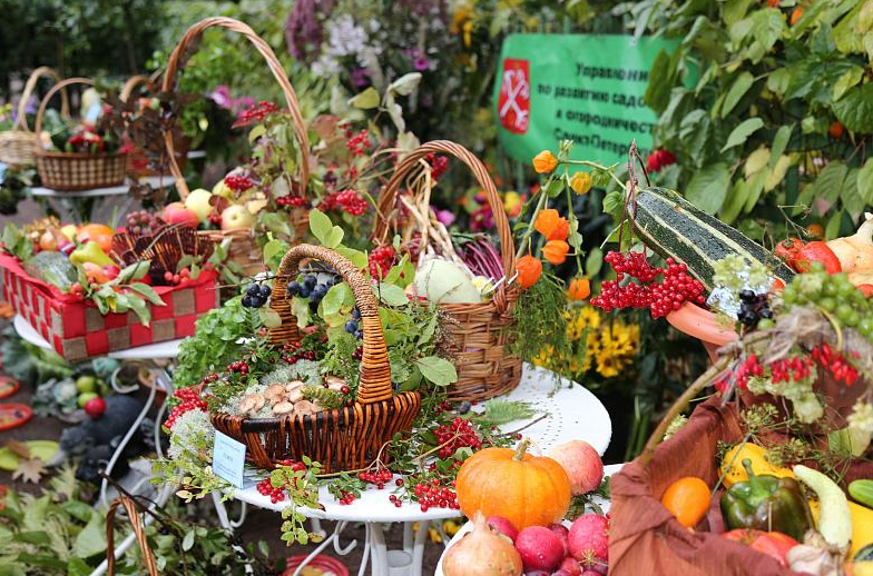 Праздник сбора урожая и закрытия фонтанов в Летнем Саду 2017