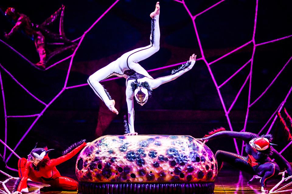 DRALION World Tour Cirque du Soleil (Цирк Дю Солей)