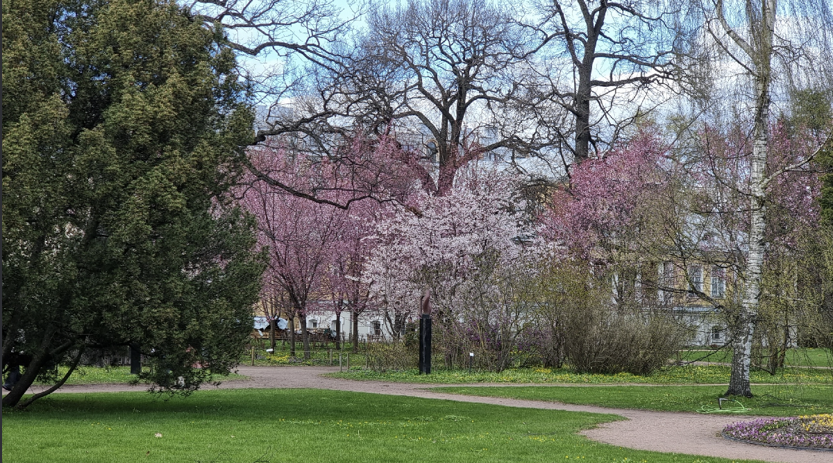 Ботанический фестиваль «Торжествуй, зелёный май!» 2026