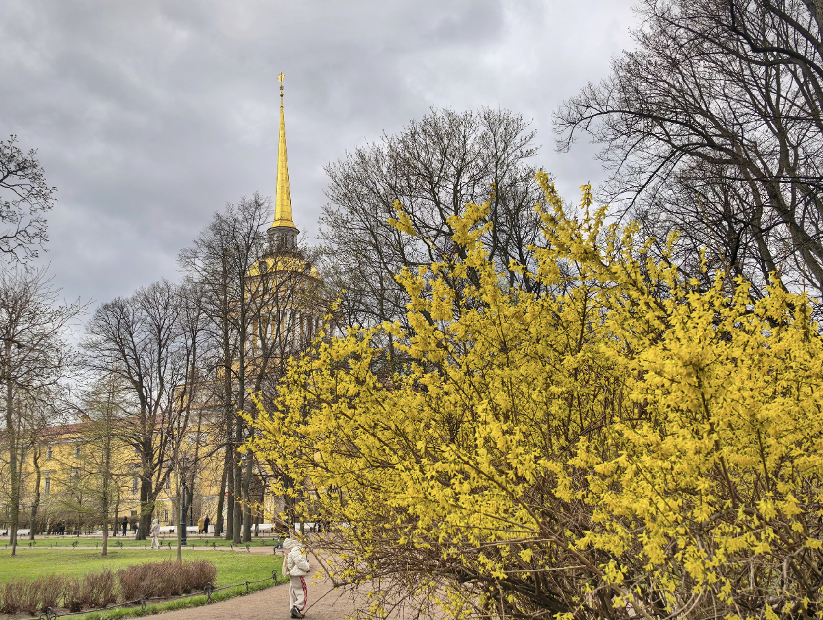 Интересные события на майские праздники в Санкт-Петербурге 2026