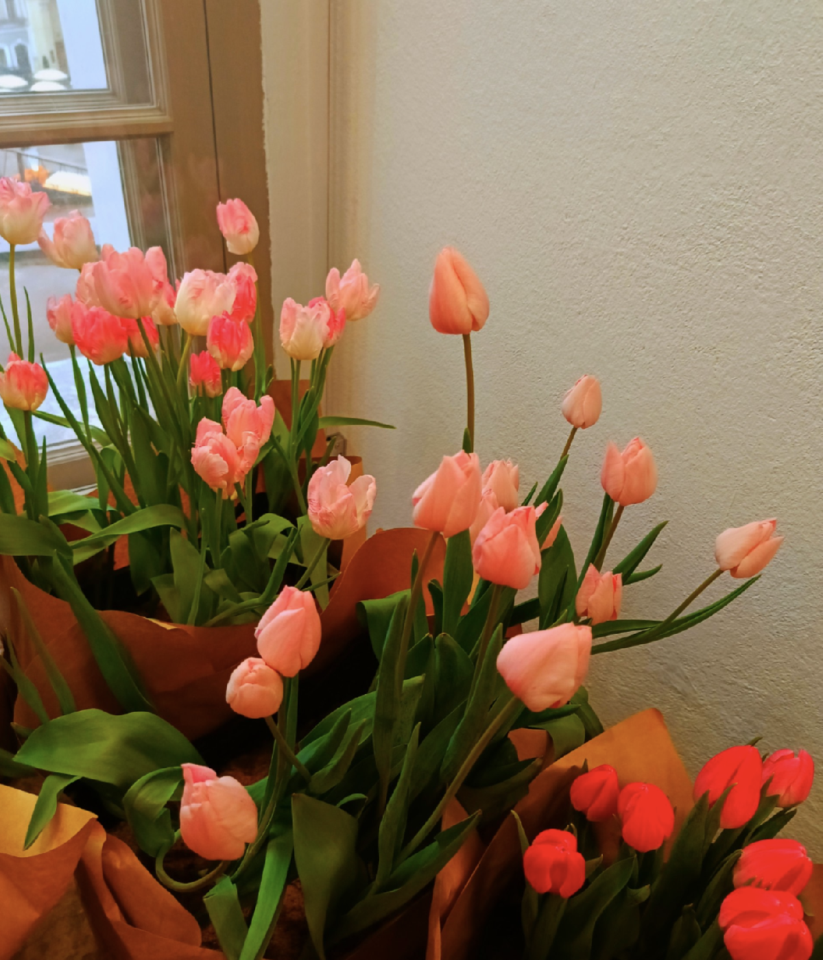 Фестиваль «Весна на высоте» 2026