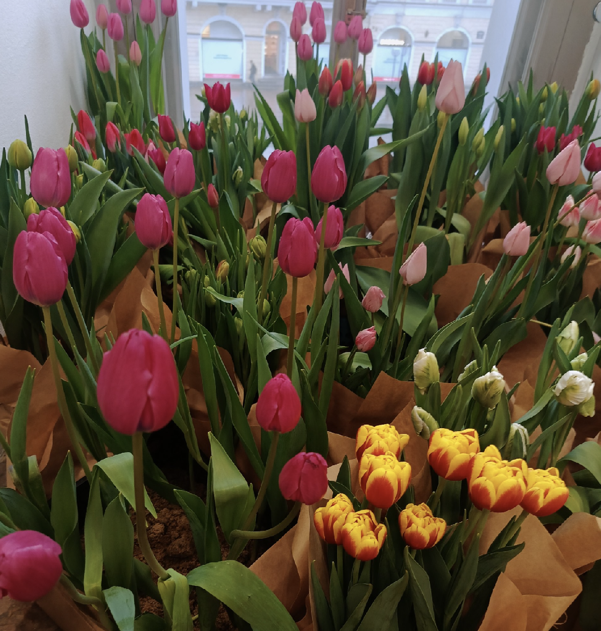 Фестиваль «Весна на высоте» 2026