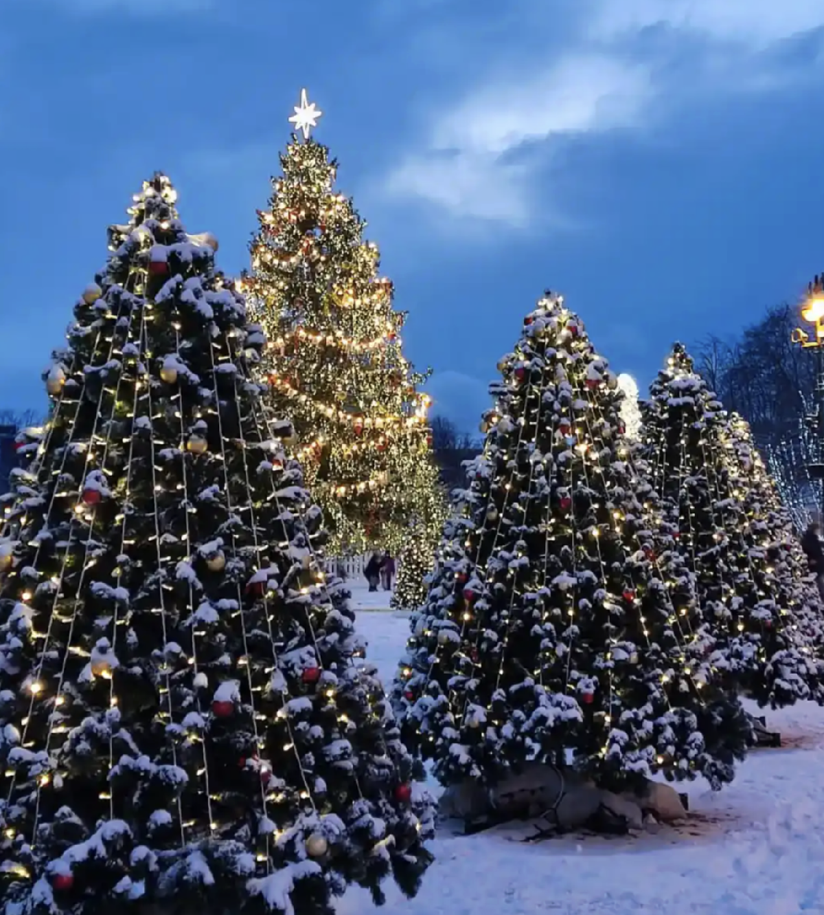 Новогодний Кронштадт и Рождественское световое шоу 2026