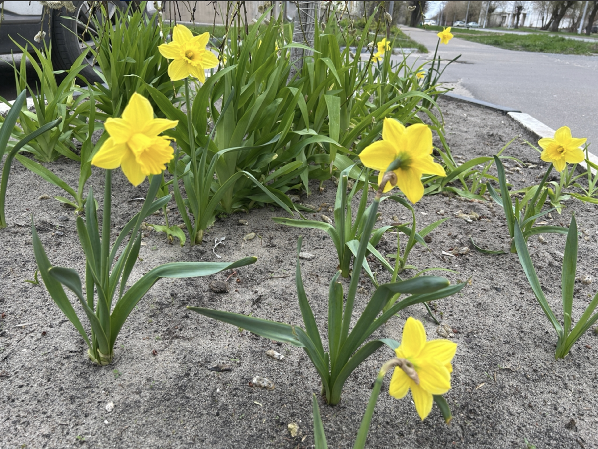 Интересные события в Санкт-Петербурге в выходные 25 и 26 апреля 2026