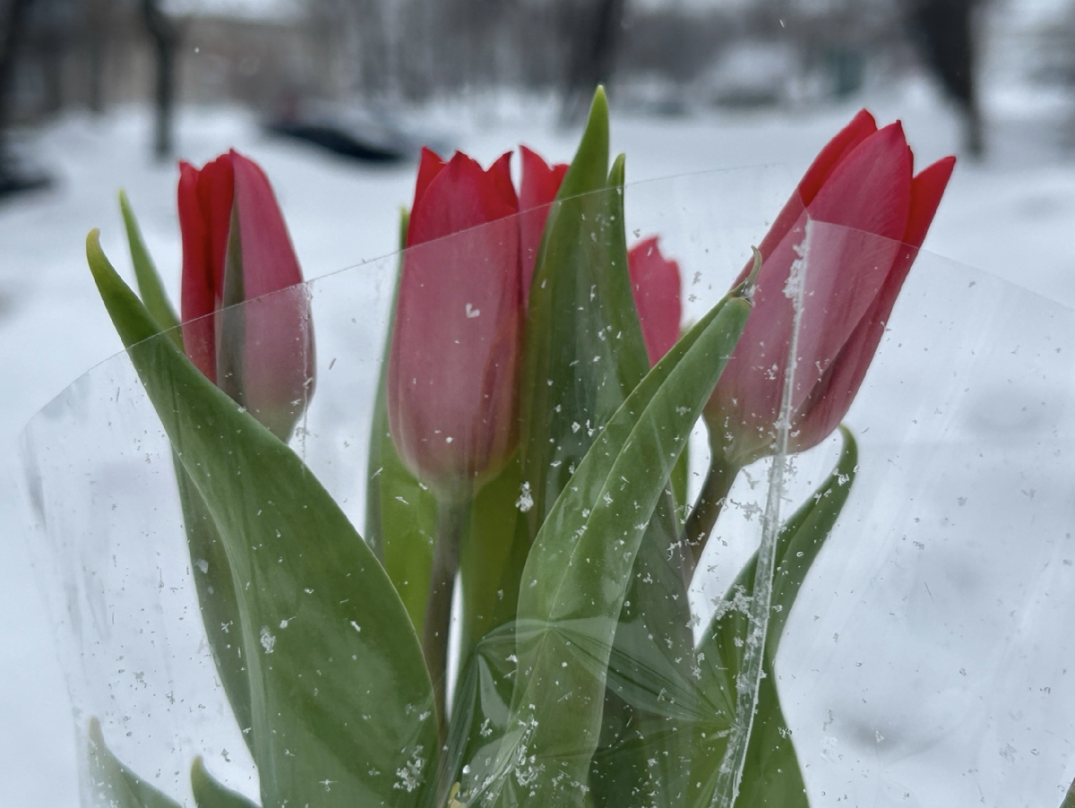 Подборка интересных событий в Санкт-Петербурге в выходные 14 и 15 марта 2026