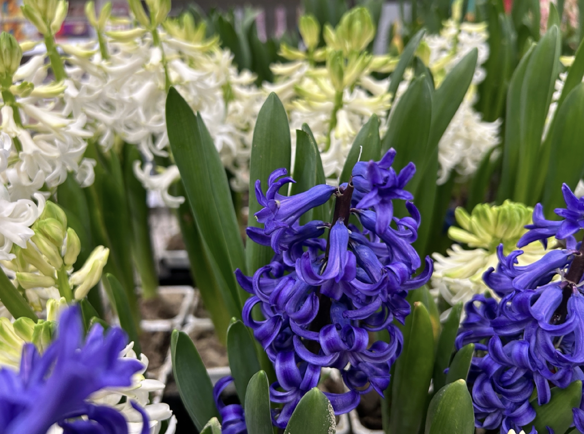 Интересные события в Санкт-Петербурге в выходные 21 и 22 марта 2026