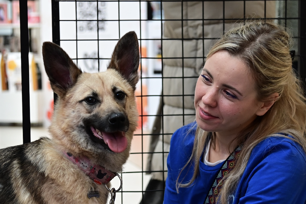 Благотворительный фестиваль «Путь домой»