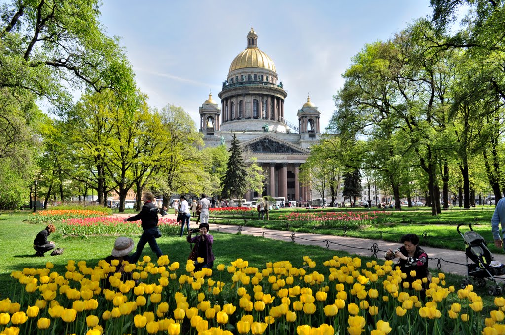 Александровский сад в питере фото