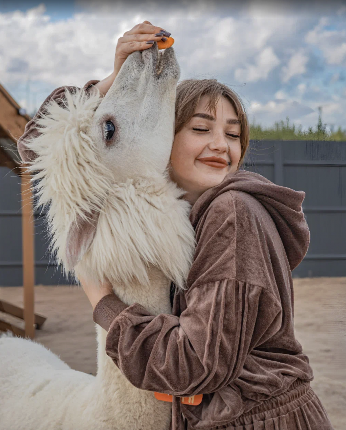 Парк альпак «Пача Мама»
