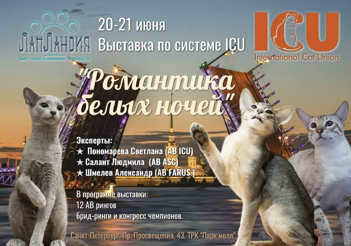 Фестиваль породистых животных «ЛапЛандия» в ТРК «Парк Молл»