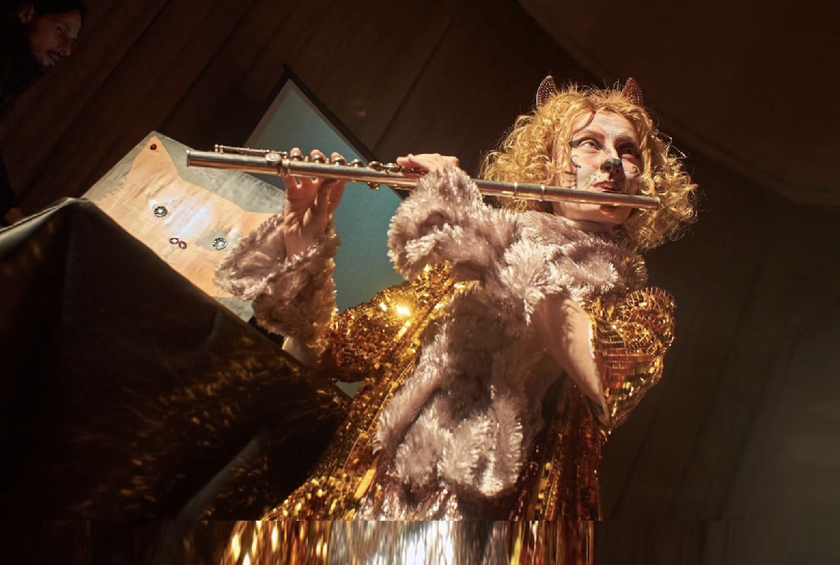 Инструментальное шоу «Джаз-Коты» от Оркестра солистов CITY MUSIC BAND